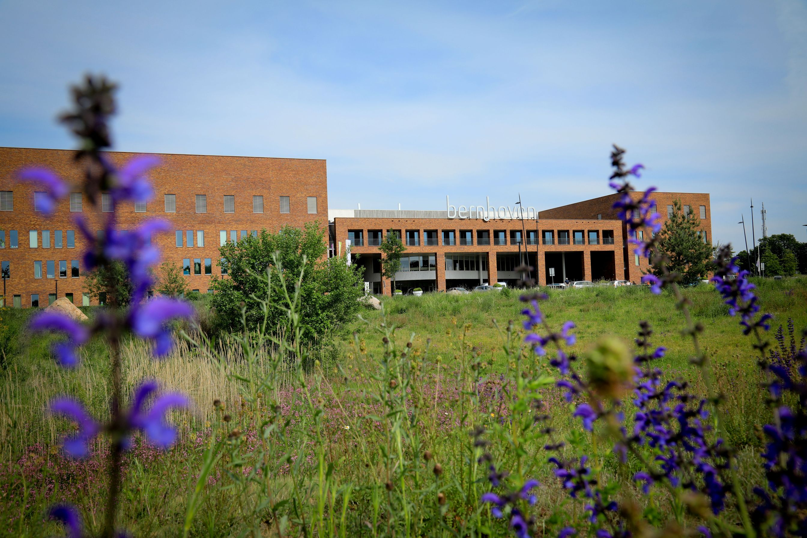 Seitenansicht des Krankenhauses Bernhoven